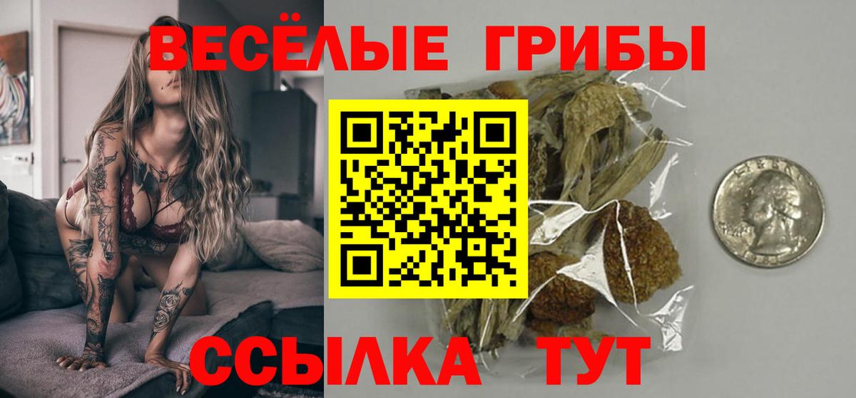 Псилоцибиновые грибы прущие грибы  Вход с VPN  Симферополь 