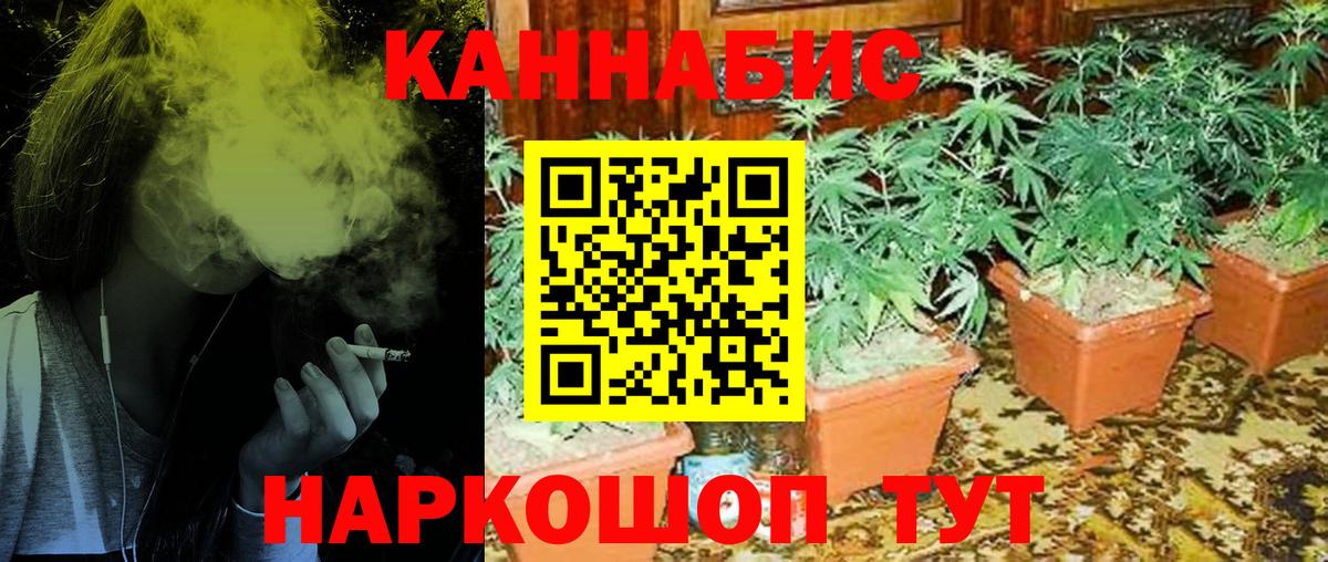 Симферополь  МАРИХУАНА VHQ  Вход с VPN  Конопля марихуана  Канабис планчик  Канабис ГИДРОПОН 